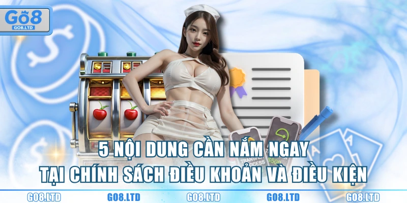 5 nội dung cần nắm ngay tại chính sách điều khoản và điều kiện