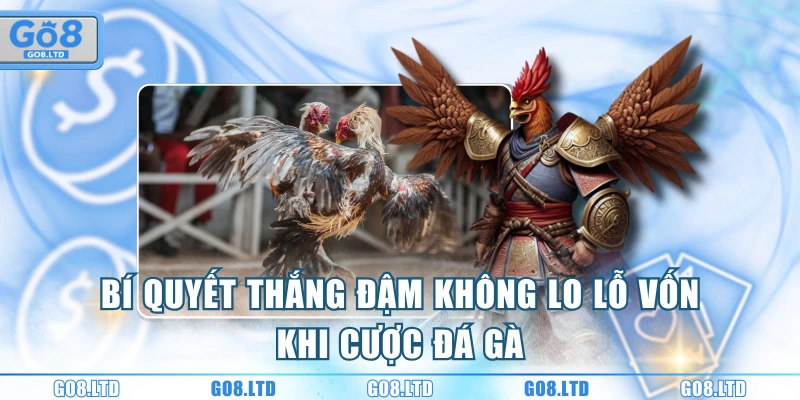 Bí quyết thắng đậm không lo lỗ vốn khi cược đá gà