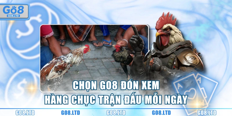 Chọn GO8 đón xem hàng chục trận đấu mỗi ngày