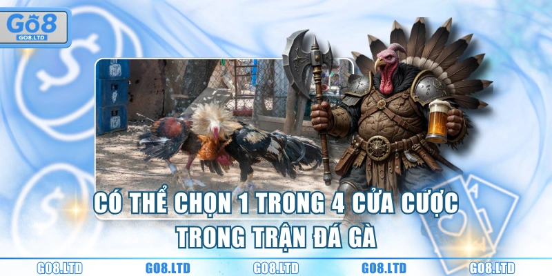 Có thể chọn 1 trong 4 cửa cược trong trận đá gà