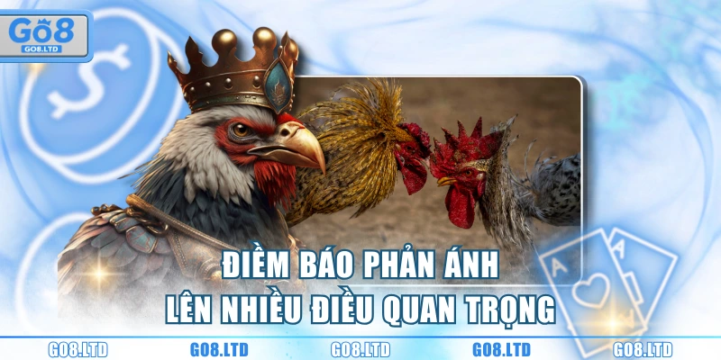Điềm báo phản ánh lên nhiều điều quan trọng
