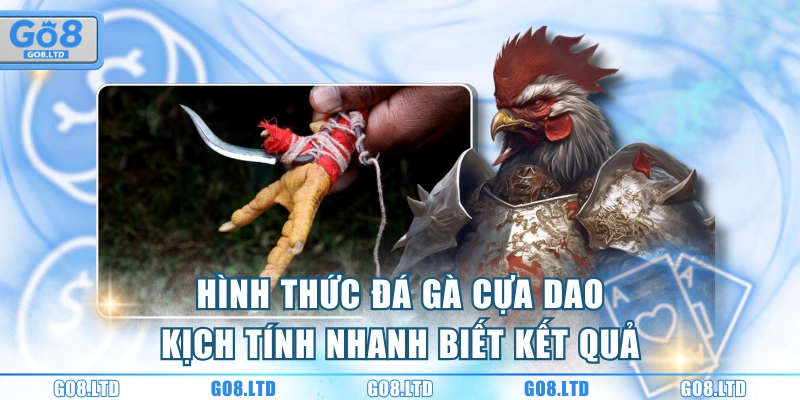Hình thức đá gà cựa dao kịch tính nhanh biết kết quả