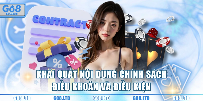 Khái quát nội dung chính sách điều khoản và điều kiện
