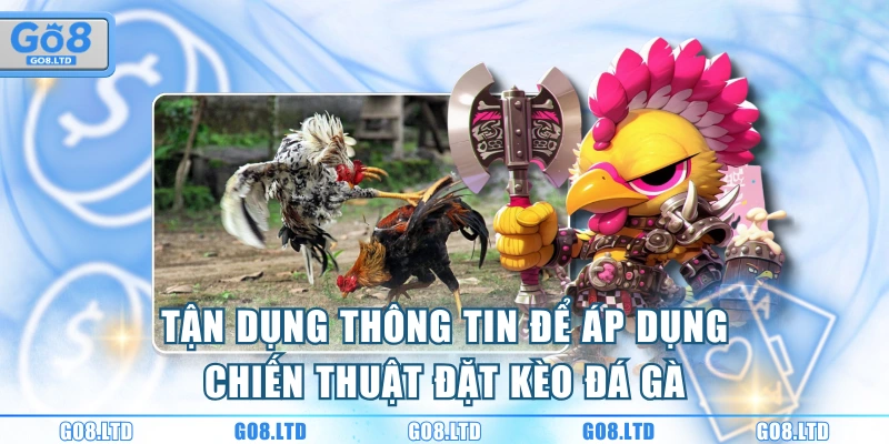 Tận dụng thông tin để áp dụng chiến thuật đặt kèo đá gà