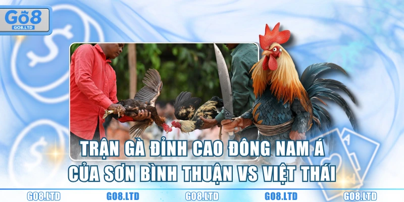 Trận gà đỉnh cao Đông Nam Á của Sơn Bình Thuận vs Việt Thái
