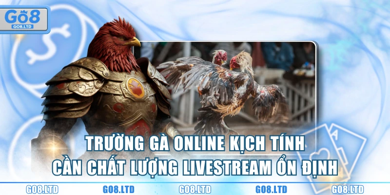 Trường gà online kịch tính cần chất lượng livestream ổn định