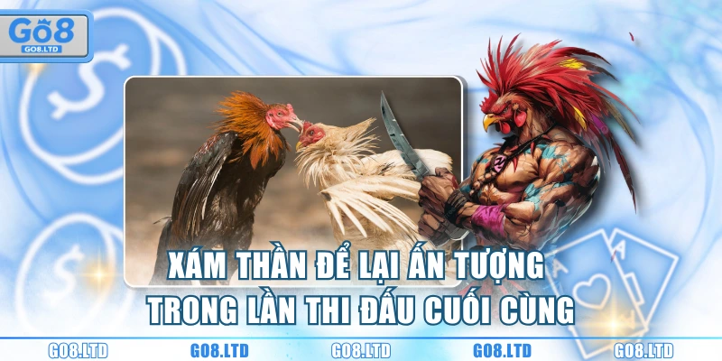 Xám Thần để lại ấn tượng trong lần thi đấu cuối cùng
