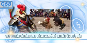 Trận gà đỉnh cao Đông Nam Á